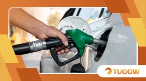 How to Apply for the Winter Fuel Payment in the UK in 2025