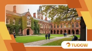 UK university admissions drop 2026: why applications decline